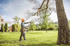 Best Commercial Tree Services  in Moose Lake, MN